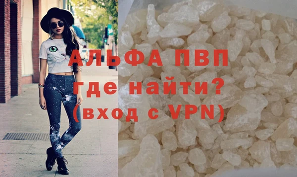 хмурый Богданович