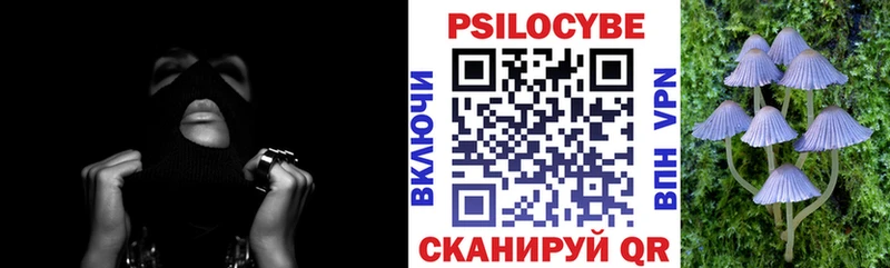 Галлюциногенные грибы Cubensis  Дмитровск 